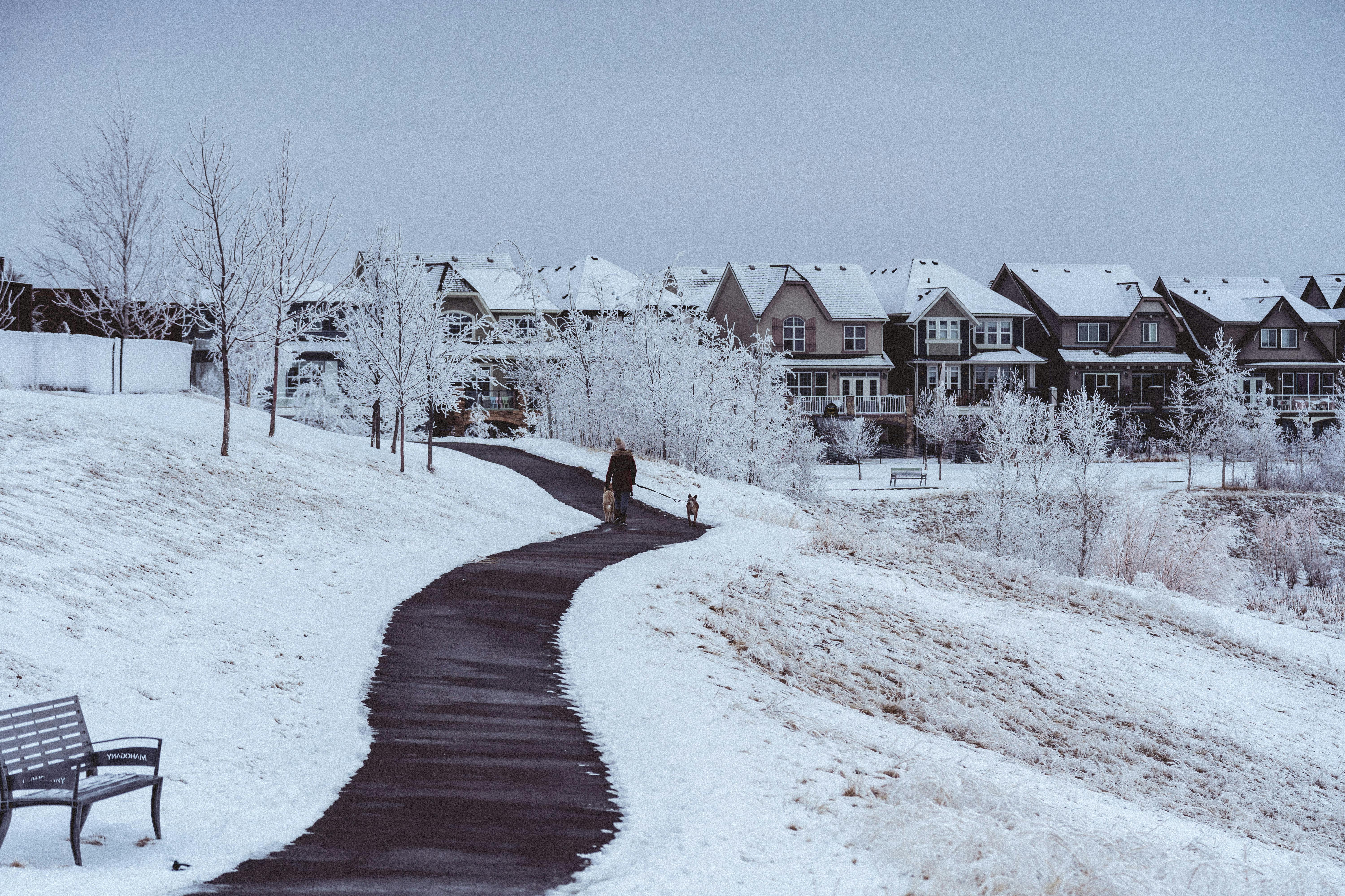 Snowy Walkway in Calgary