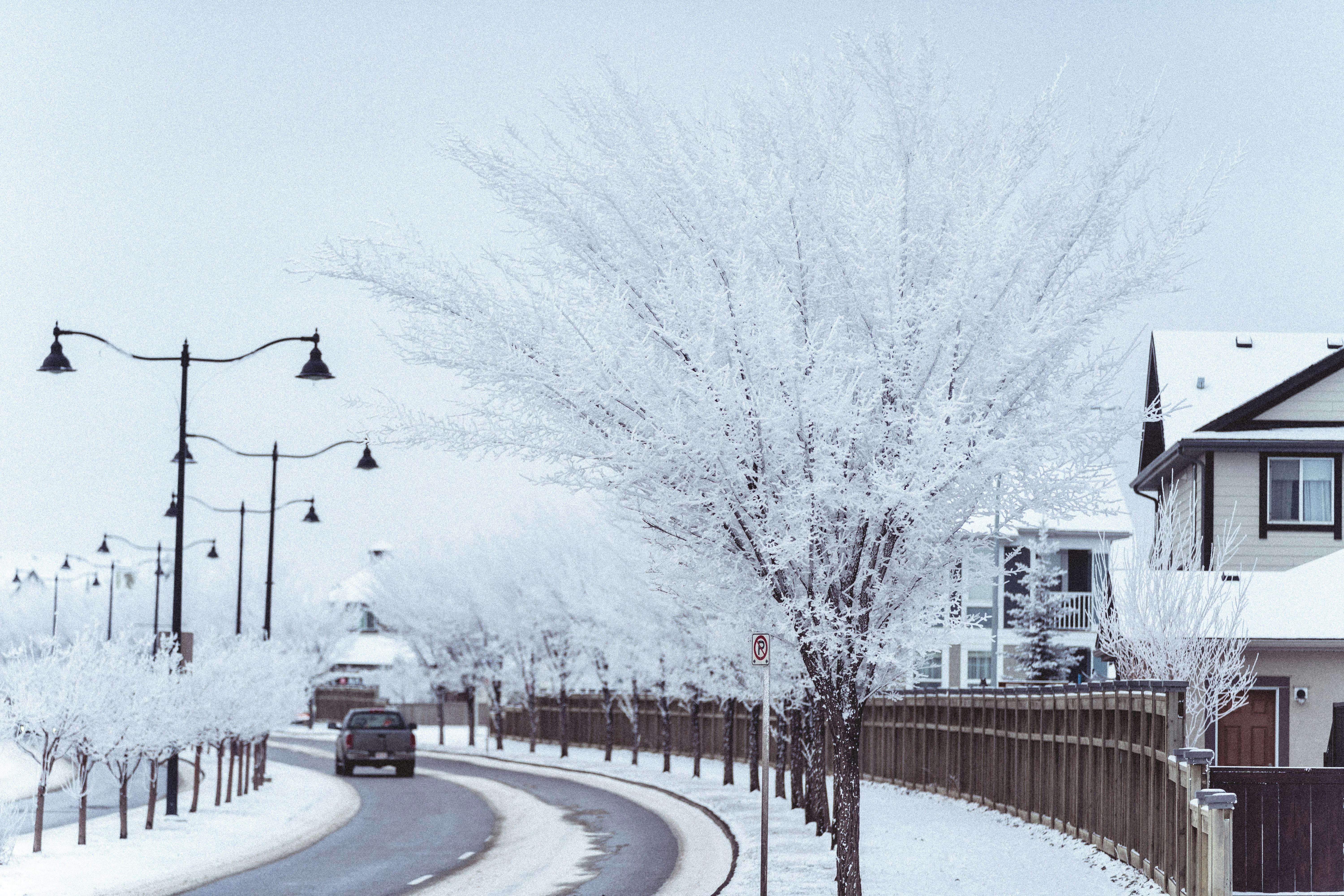 Snowy Street Scene in Calgary