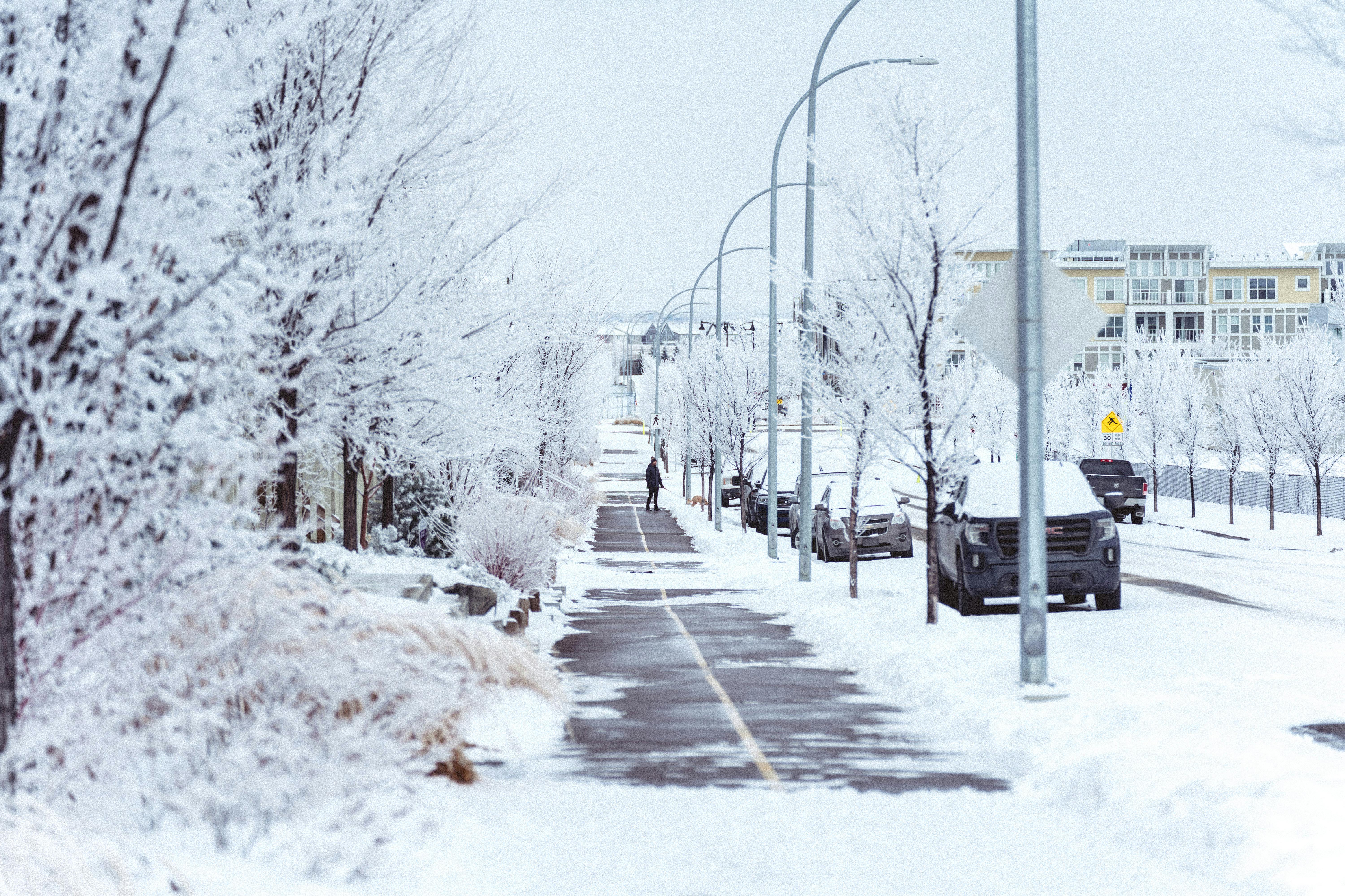 Winter Cityscape in Calgary