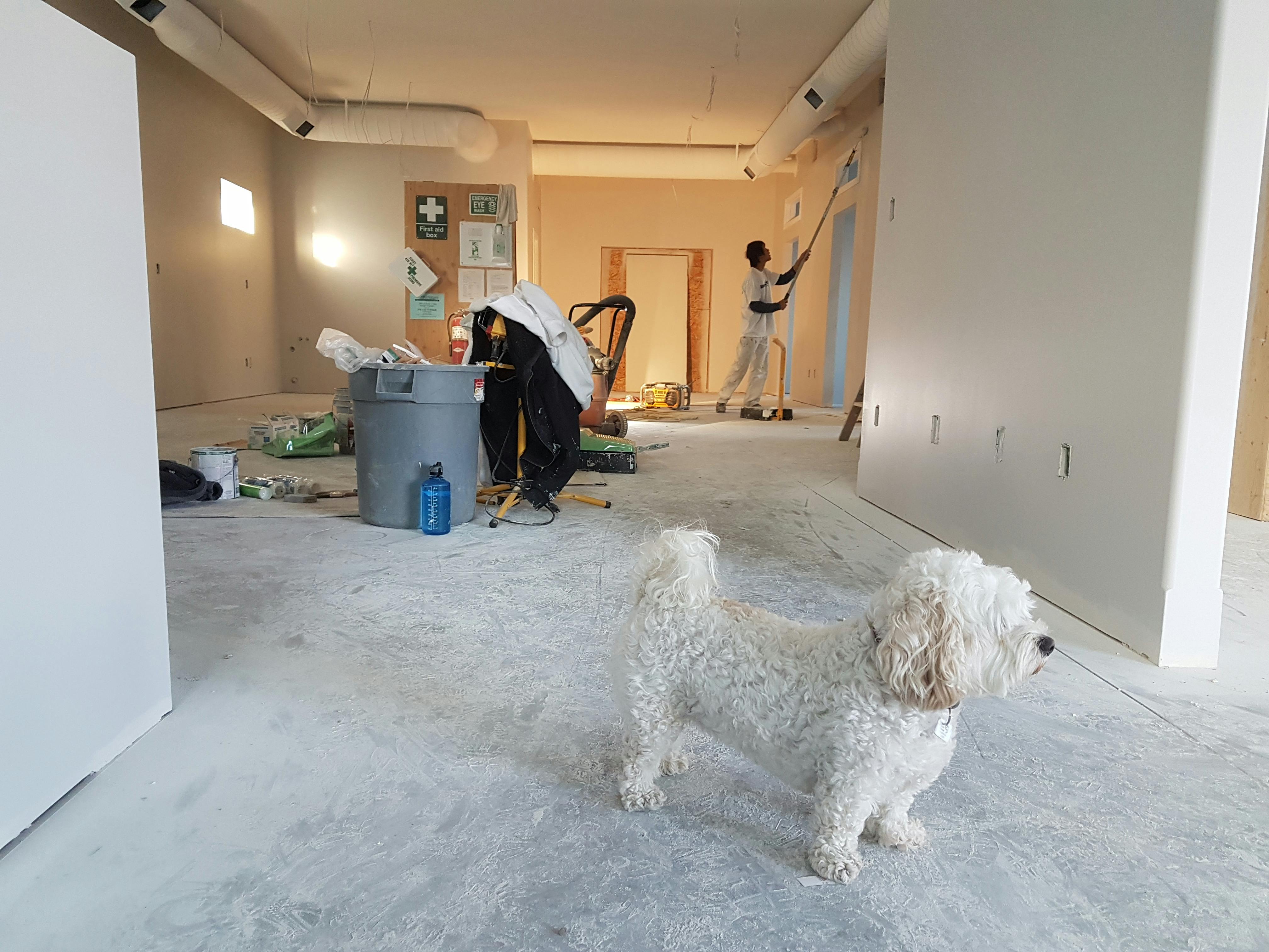 Interior renovation scene