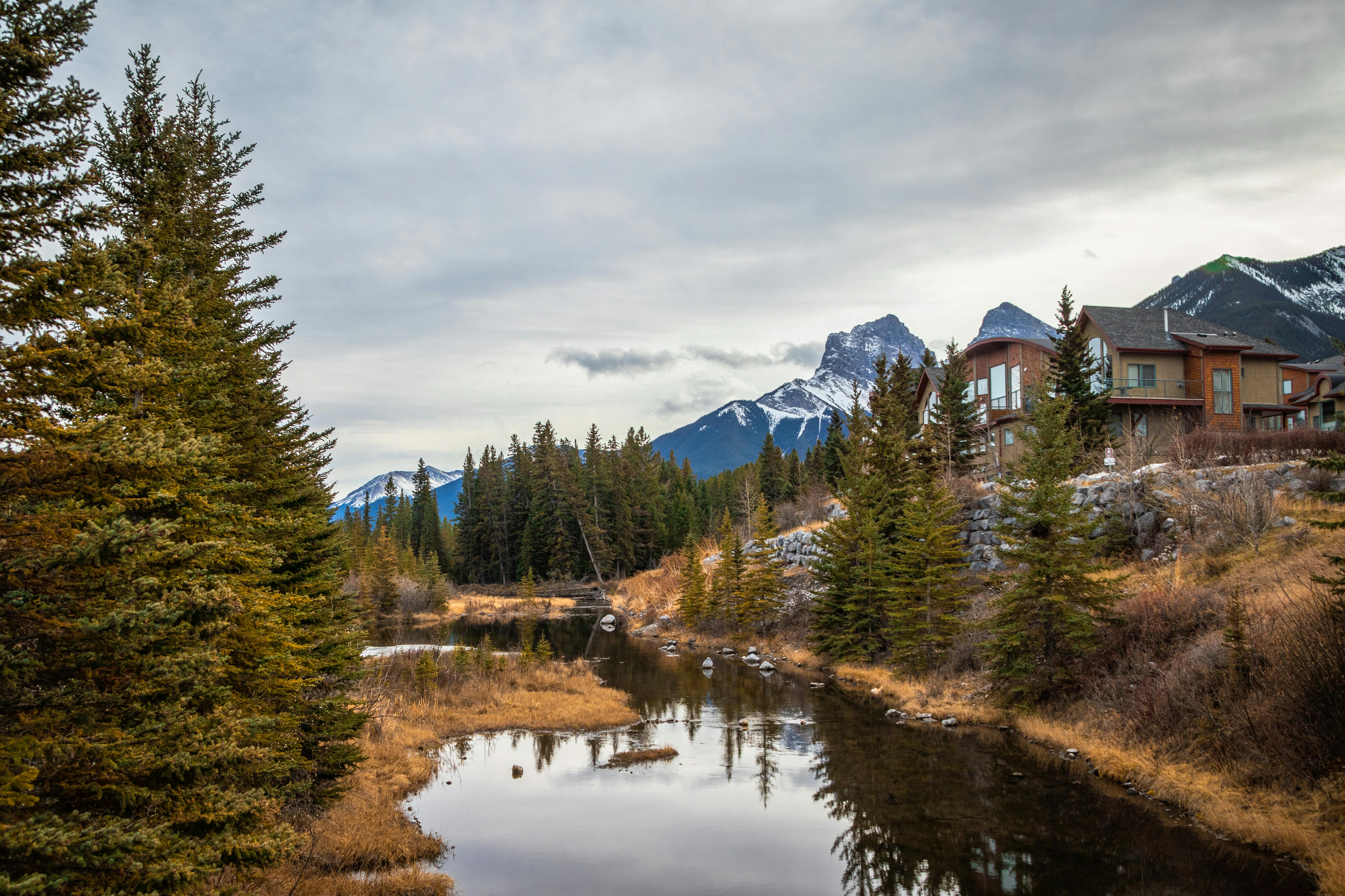 Lakeside View