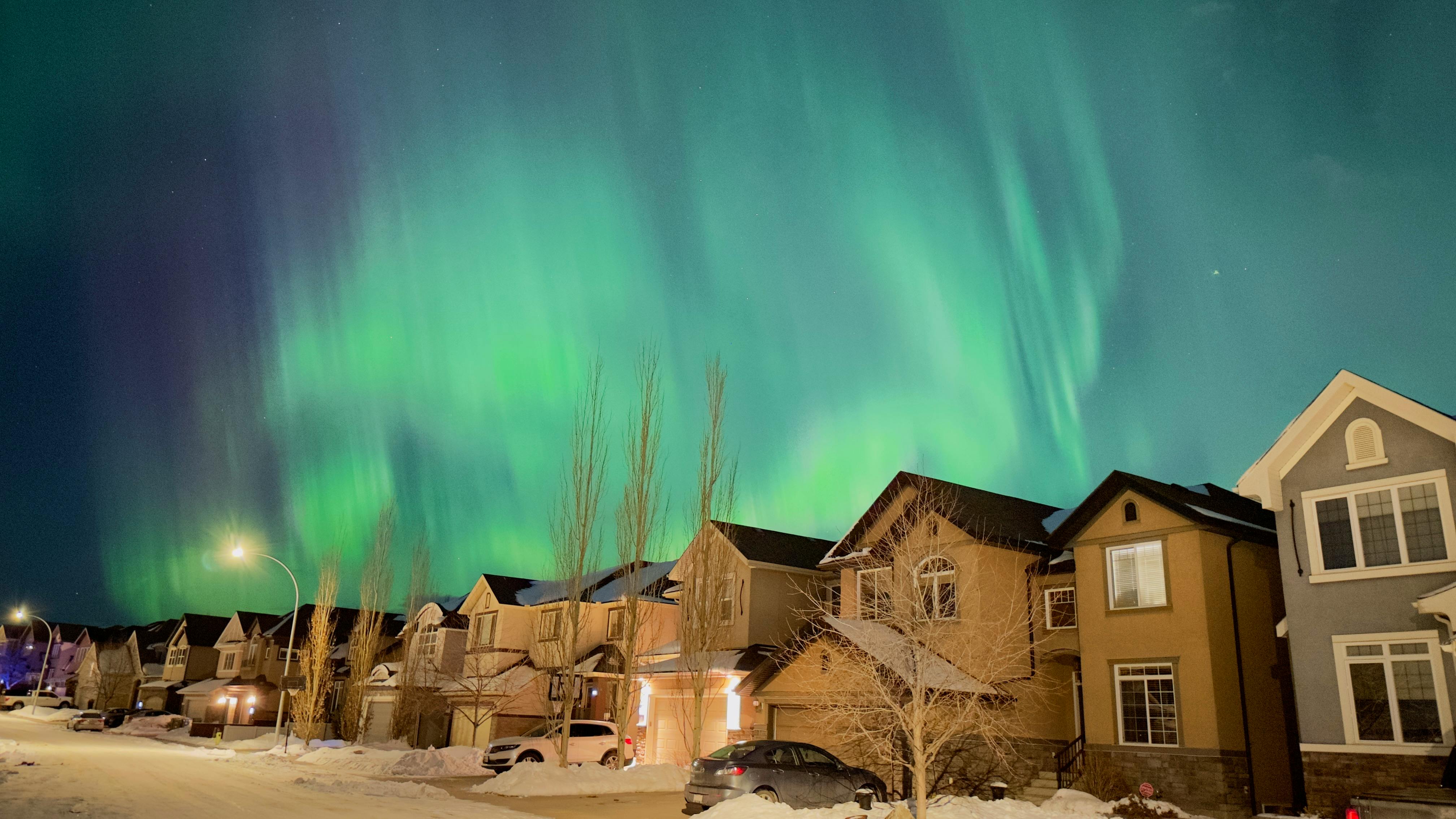 Northern Lights in Calgary