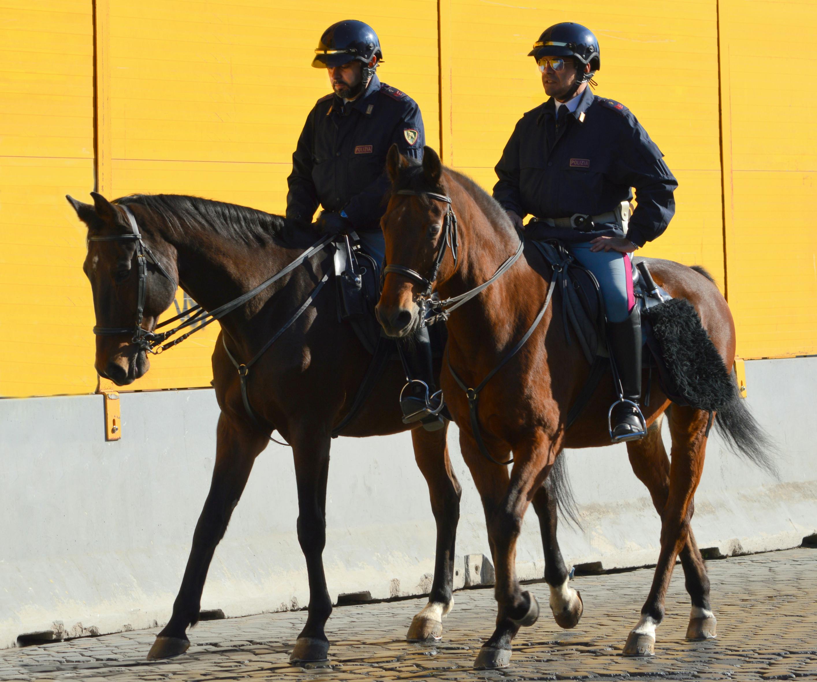 Mounted police officers