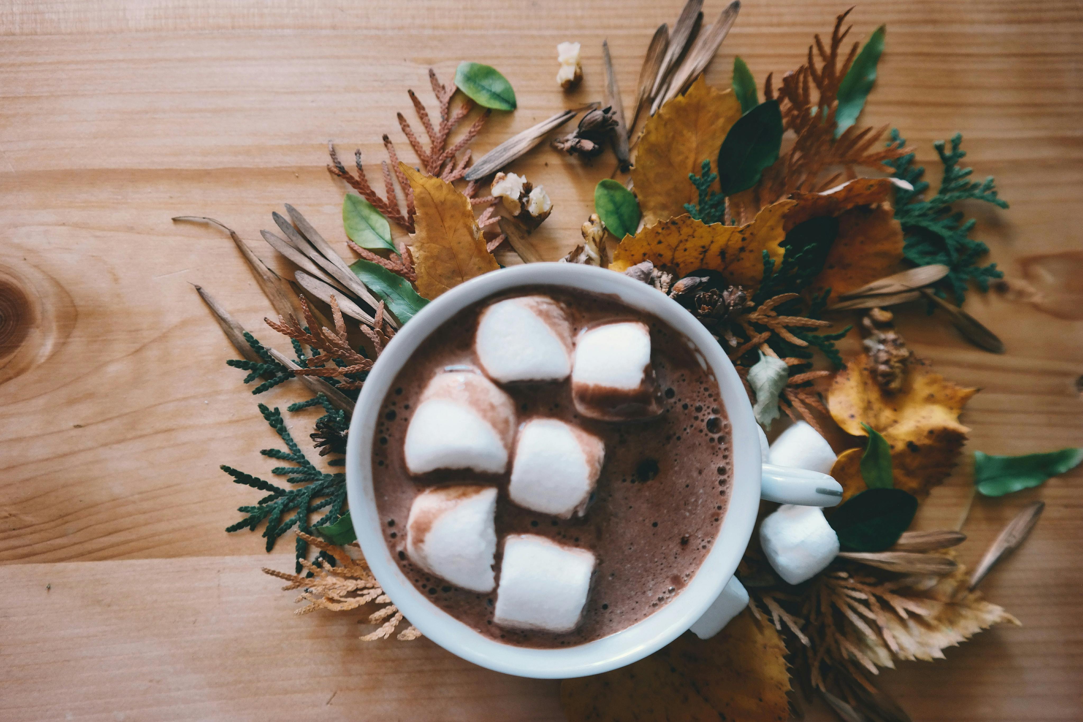 Warm cup of hot chocolate